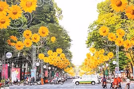 胡志明市摆放鲜花彩旗 喜迎越共十二大（图片来源：越通社） 