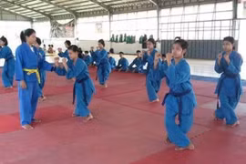 缅甸将越南武术列入两所国家体育学院的教学课程 