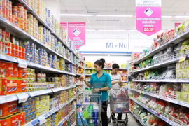 附图（图片来源：越通社）