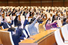 充分发挥国会代表的核心作用