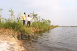 雨季结束后海水入侵时可转为水产养殖 （图片来源：越通社）