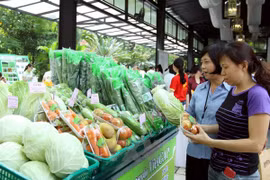 附图（图片来源：越通社）
