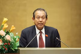 越南政府副总理张和平担任委员会主任（图片来源于网络）