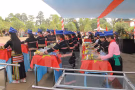 柬埔寨牺牲的越南专家和志愿军烈士遗交接暨悼念仪式在嘉莱省举行（图片来源：越通社）