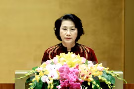 越南国会主席阮氏金银在会议上发表讲话（图片来源：越通社）