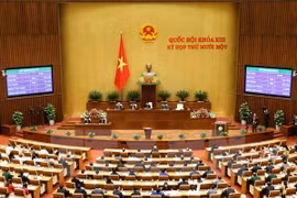 越南第十三届国会第十一次会议场景（图片来源：越通社）