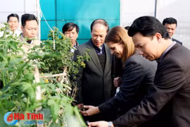 以色列驻越南大使艾利森沙哈尔视察贫瘠沙地高新技术蔬果种植试点项目
