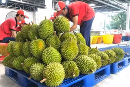 越南加工果蔬出口额首次突破10亿美元