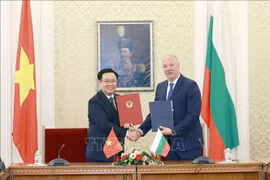 进一步深化越南与保加利亚传统友谊