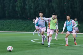 2023年亚足联亚洲杯决赛阶段：越南26名参赛球员名单揭晓