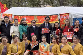 喜迎龙年春节 多国越南侨胞纷纷举行庆祝活动