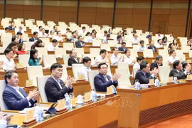 纪念越南国会首次大选80周年竞赛启动
