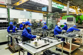 与FDI企业合作促进木材出口 
