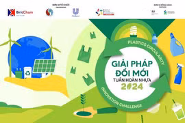 推动越南塑料垃圾回收利用产业发展