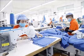 越南经济呈现积极发展态势 
