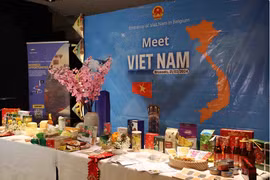 促进越南与比利时合作机遇