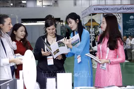 越南赴老参加2024年Travex国际旅游博览会