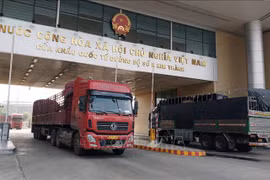 越南获准出口中国的产品代码多达3000多个