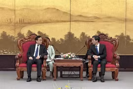岘港市促进与中国山东省的合作