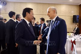 外商投资企业协会为改善胡志明市营商环境建言献策