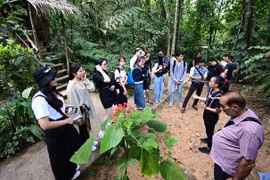 春节出游线路多样化 游客可选择性多