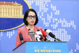 越南强烈谴责伊朗东南部发生的爆炸事件