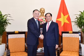 越南外交部长裴青山会见中国外交部部长助理