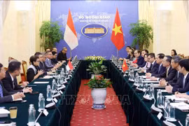 进一步推动越印两国各领域走深走实