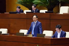 越南国会常务委员会第31次会议：越南在联合国教科文组织机制中担任许多重要职位