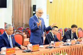 为德国企业在南定省投资创造便利条件