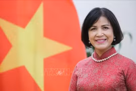 黎氏雪梅大使：范明政总理出席 WEF 2024 展现出越南在国际舞台上的作用、地位的良机