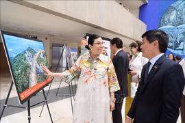 越南驻墨西哥大使阮横年：东盟与墨西哥关系日益向纵深、全面和务实发展
