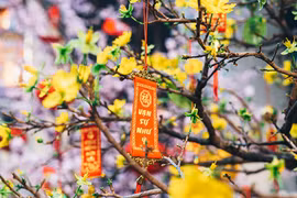 致海外越南人的一封新春贺信