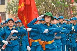 南方“佳人”心系奠边府