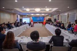 促进构建在日本越南信息技术企业网络