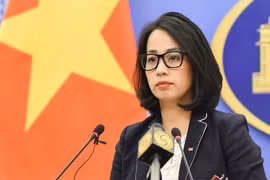 外交部例行记者会：越南公民需对境外高薪招聘保持警惕