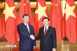 进一步深化并推动越中两个立法机构关系取得更多实质性成果