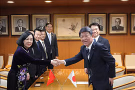 发挥两个执政党在促进越日双边关系的作用