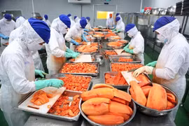 加拿大企业关注越南市场