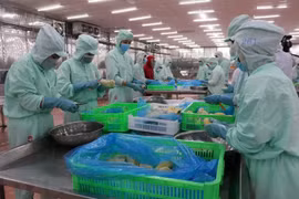 越南是加拿大《印太战略》的优先目的地