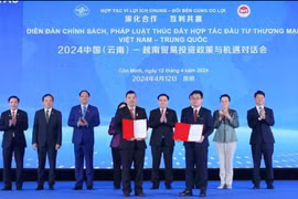为越中关系发展作出重要且务实的贡献