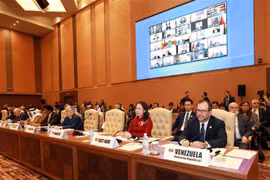越南国家副主席武氏映春出席第19届不结盟运动峰会