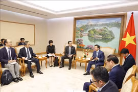 日本支持越南推进绿色能源转型