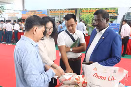 永隆省与印度企业促进合作关系