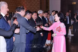 越南胡志明市领导人会见外国机构代表