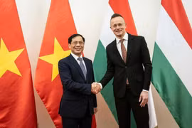 进一步加强越南与匈牙利和罗马尼亚两国之间的对外交往与合作
