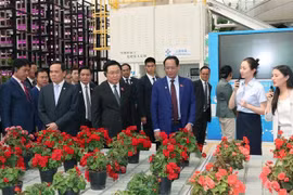 越南国会主席王廷惠参观中国云南省典型经济模式