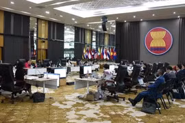 越南与韩国共同主持第十一次东盟-韩国联合合作委员会会议
