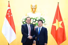 越南与新加坡扩大经贸和能源合作