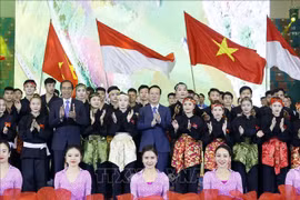 越南国家主席武文赏和印度尼西亚总统一起观看两国传统武术表演